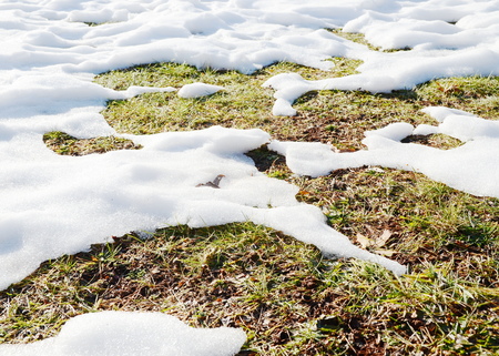 Melting snowの写真素材