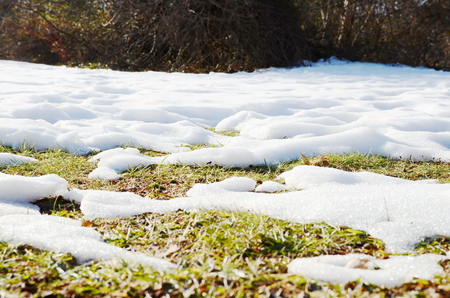 Melting snowの写真素材