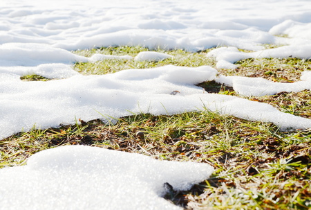 Melting snowの写真素材