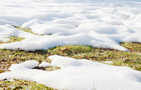 Melting snowの写真素材