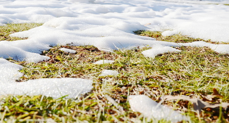 Melting snowの写真素材