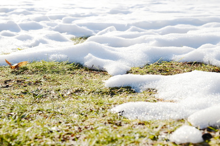 Melting snowの写真素材