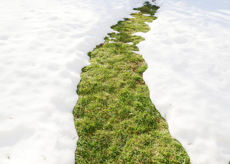 Melting snowの写真素材