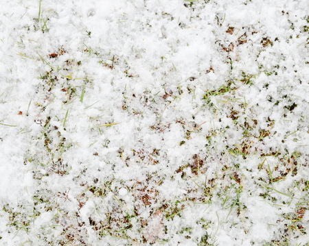 Melting snowの写真素材