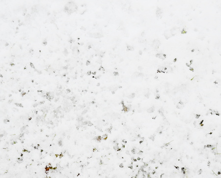 Melting snowの写真素材