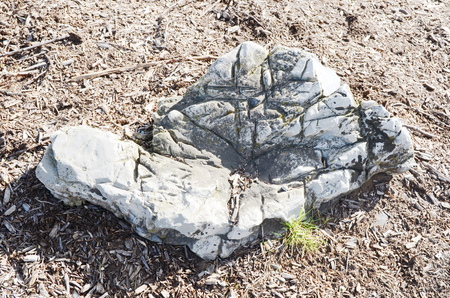 stone textureの写真素材