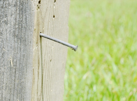 nail on the wood fenceの写真素材