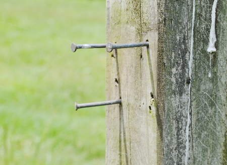 nail on the wood fenceの写真素材