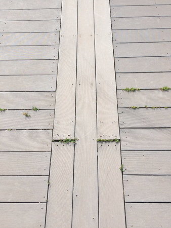 wood floor textureの写真素材