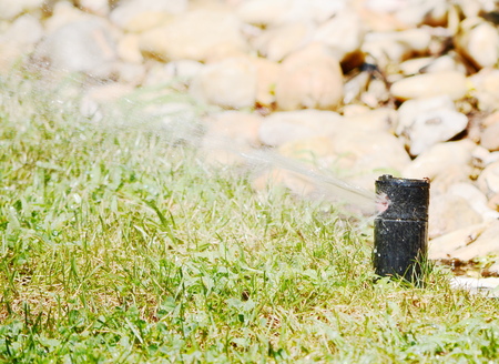 water sprinklerの写真素材