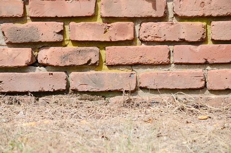 brick wall textureの写真素材