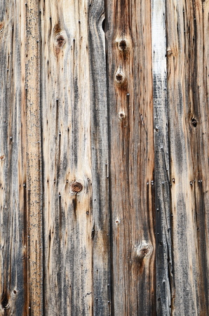 wood backgroundの写真素材