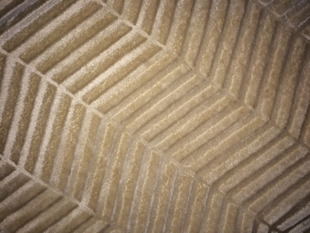 Carpet textureの写真素材