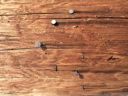 Nail on the tree bark textureの写真素材