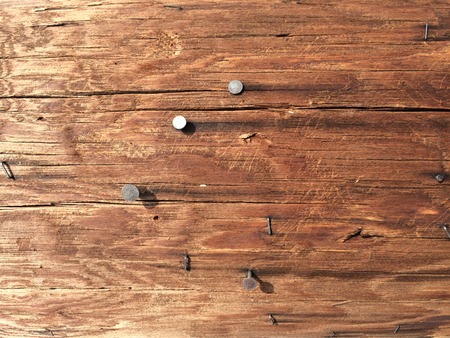 Nail on the tree bark textureの写真素材