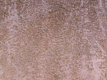 wood textureの写真素材