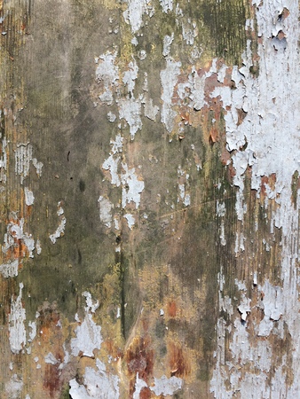 Old wood backgroundの写真素材
