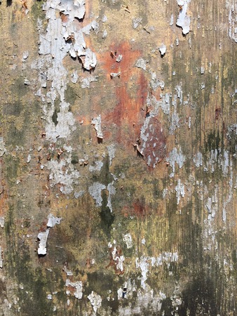 Old wood backgroundの写真素材