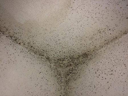 Mould wall backgroundの写真素材