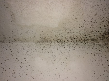 Mould wall backgroundの写真素材