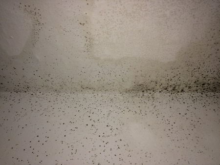 Mould wall backgroundの写真素材