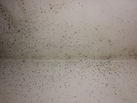 Mould wall backgroundの写真素材