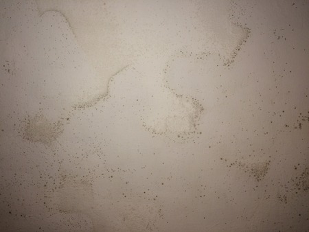 Mould wall backgroundの写真素材