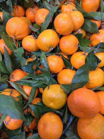 Tangerinesの写真素材