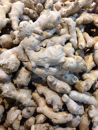 Gingerの写真素材