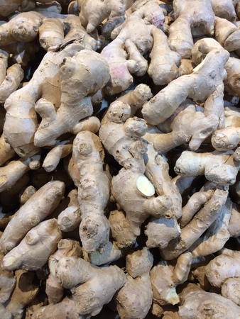 Gingerの写真素材