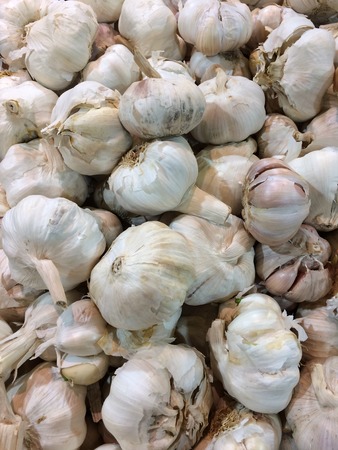 Garlicの写真素材
