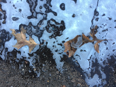 Frozen iceの写真素材