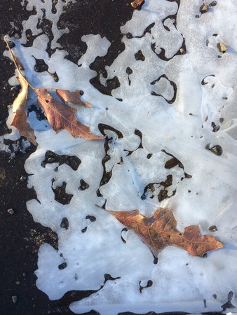 Frozen iceの写真素材