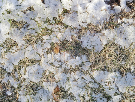 melting snowの写真素材
