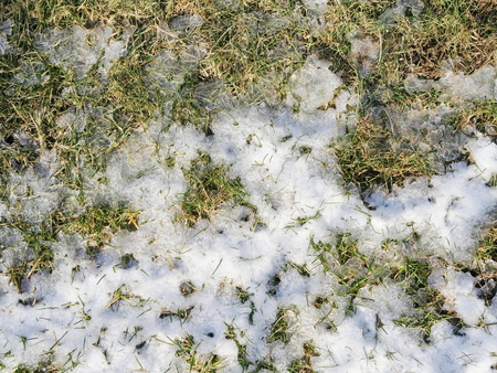 melting snowの写真素材