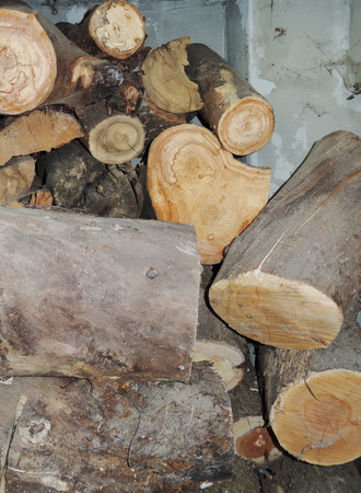firewoodの写真素材