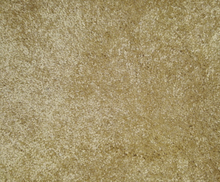 carpet textureの写真素材