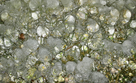 Frozen iceの写真素材