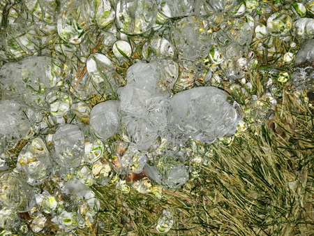 Frozen ice