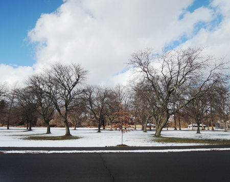 parkの写真素材
