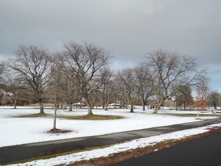 parkの写真素材