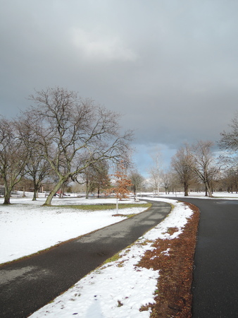 parkの写真素材