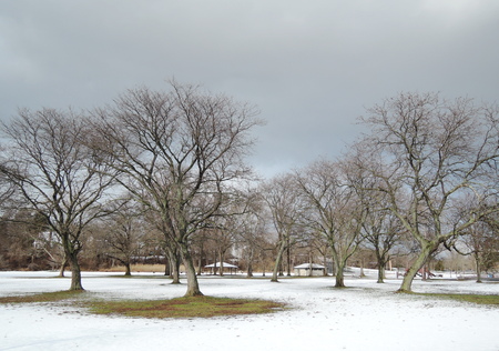 parkの写真素材