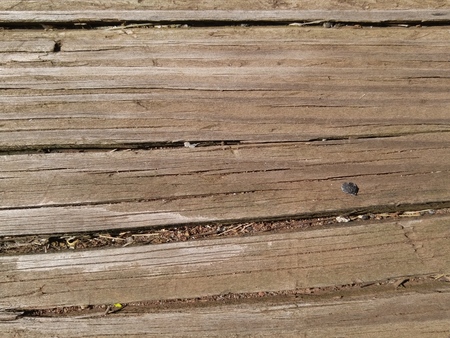 old wood textureの写真素材