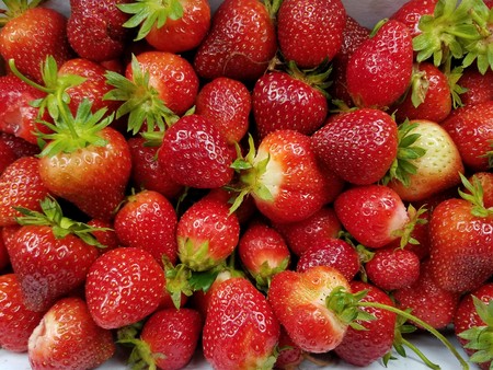 strawberryの写真素材