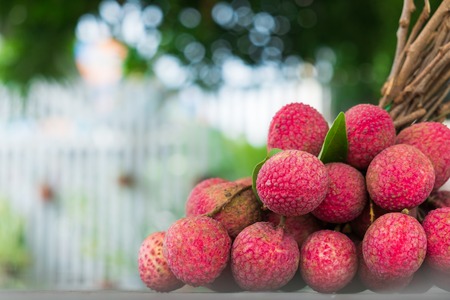 Beautiful lychee fruit Asia Thailand in natureの写真素材
