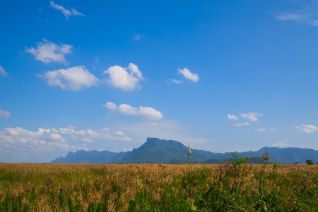 field blue sky and white clouds  in natureの写真素材