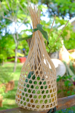 Cucumber in round bamboo basket isolated nature backgroundの写真素材