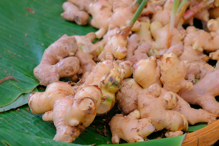 Galangal on banana leaf in basket for saleの写真素材