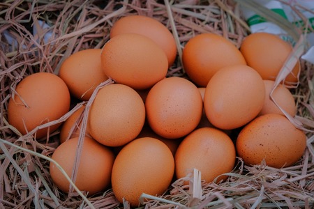 Fresh eggs on straw in the marketの写真素材